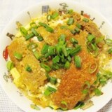 駄菓子で！？ジャンキーカツとじ丼